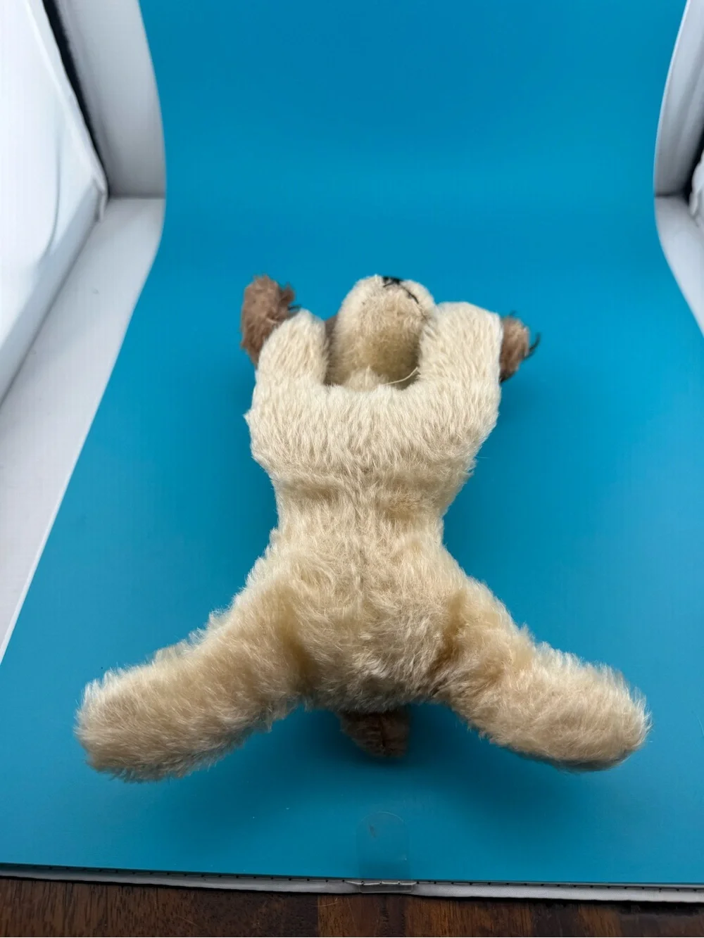 steiff soft brown